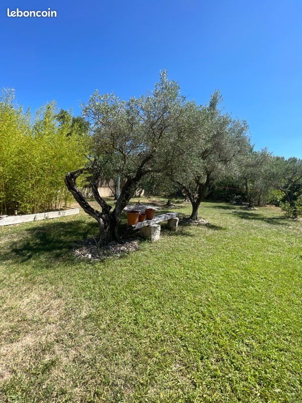Maison à louer, 60m², Villeneuve-lès-Avignon