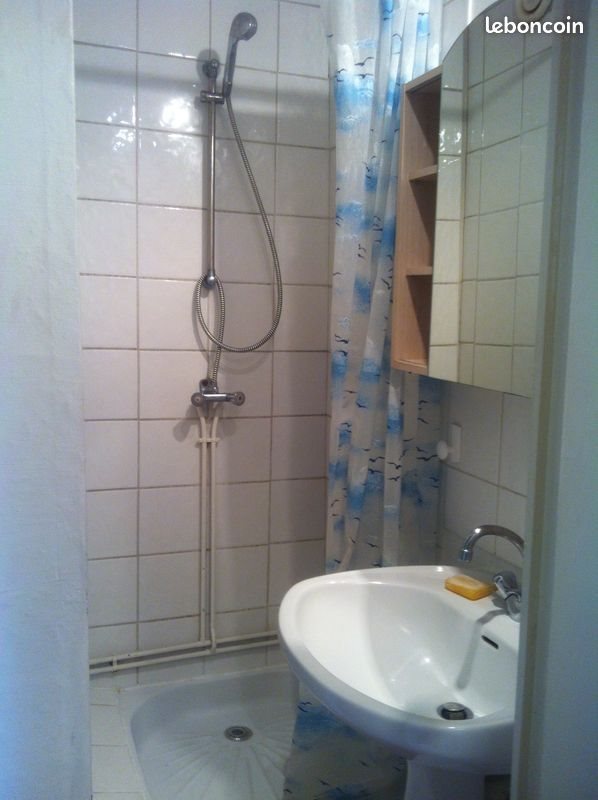 Appartement à louer, 25m², Nancy