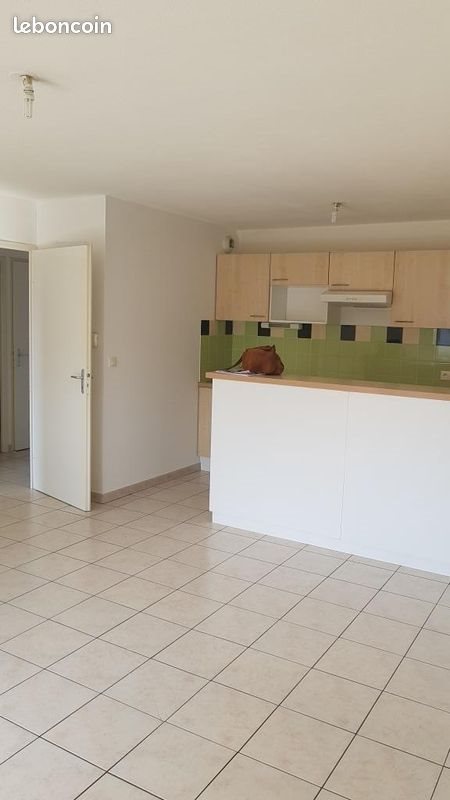 Appartement à louer, 42m², Albi