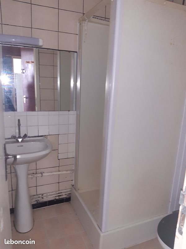 Appartement à louer, 38m², Villeurbanne