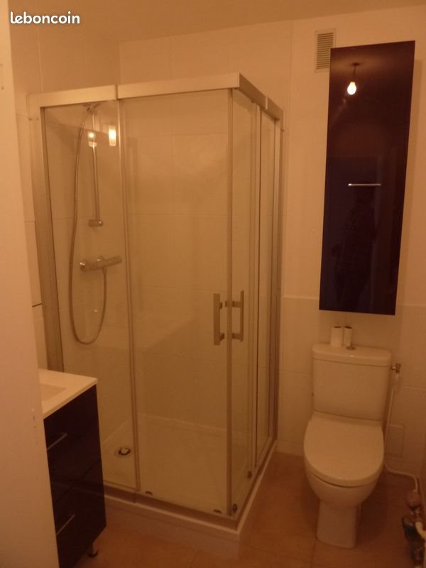 Appartement à louer, 29m², Albertville
