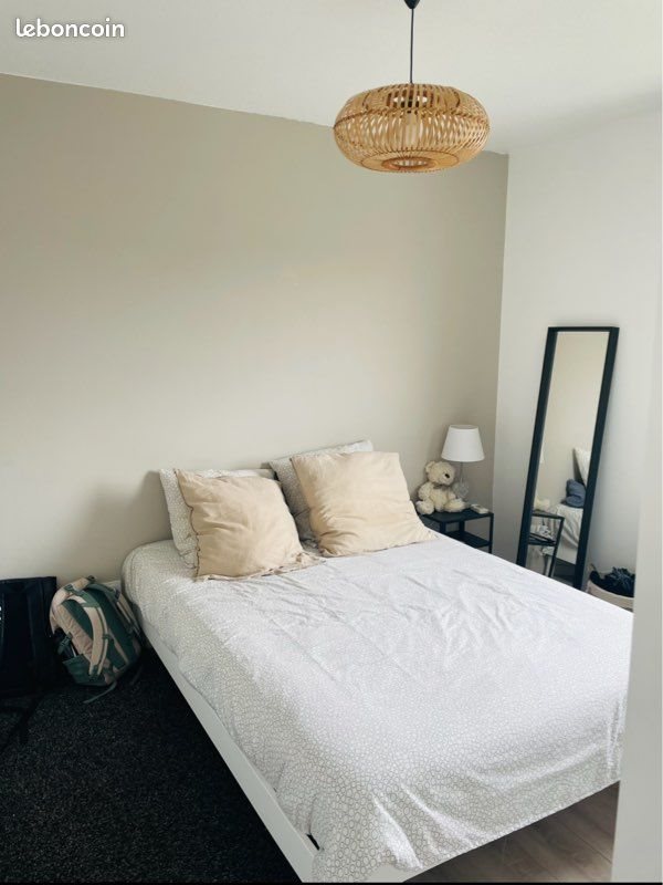 Appartement à louer, 50m², Saint-Priest-en-Jarez