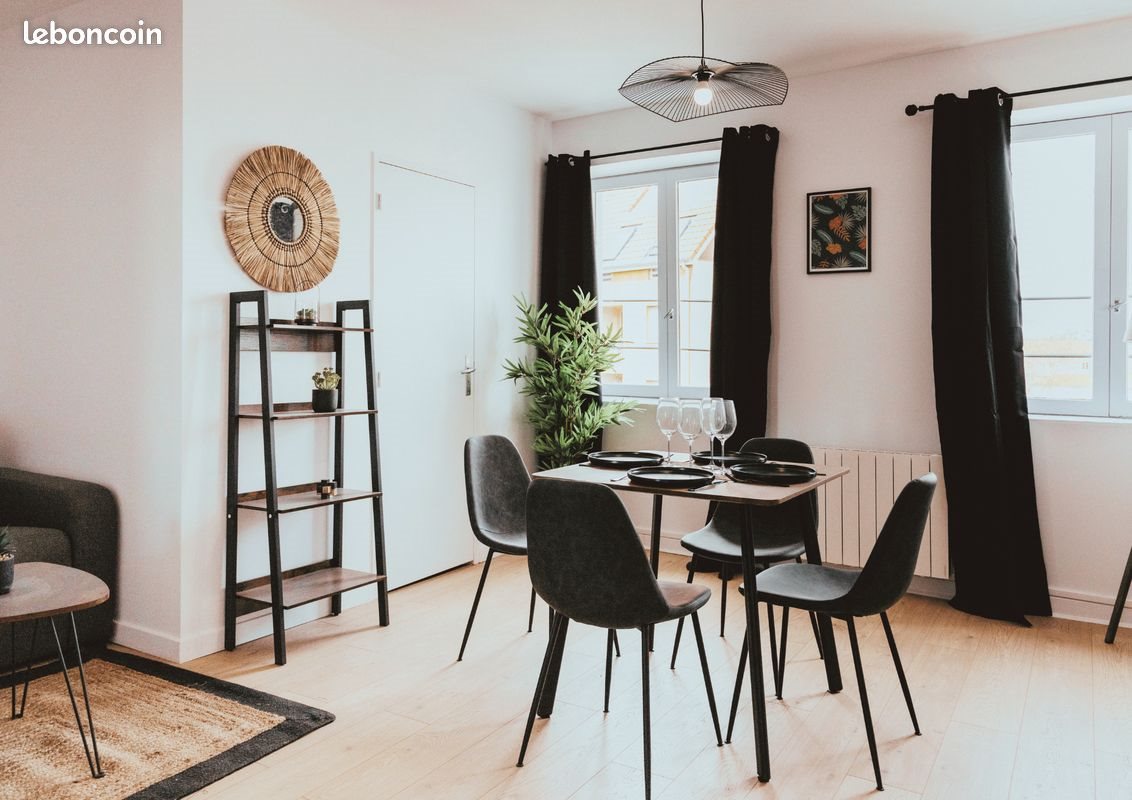 Appartement à louer, 50m², Saint-Étienne