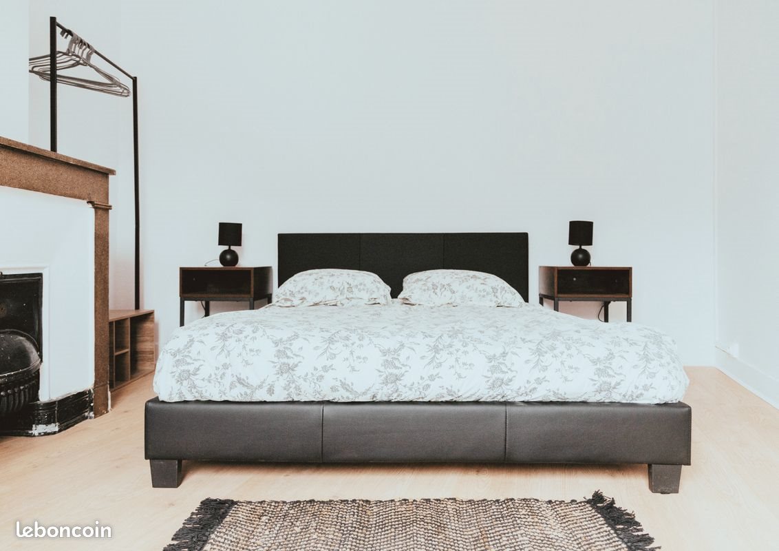 Appartement à louer, 50m², Saint-Étienne