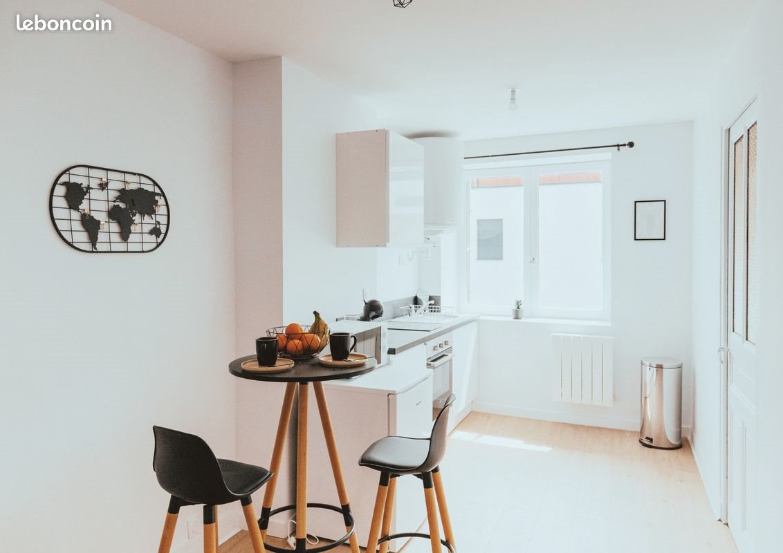 Appartement à louer, 50m², Saint-Étienne