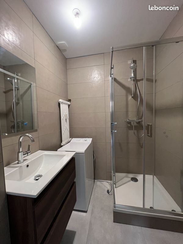 Appartement à louer, 38m², Saint-Etienne