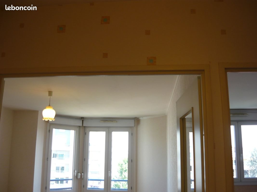 Appartement à louer, 53m², Lyon 7ème