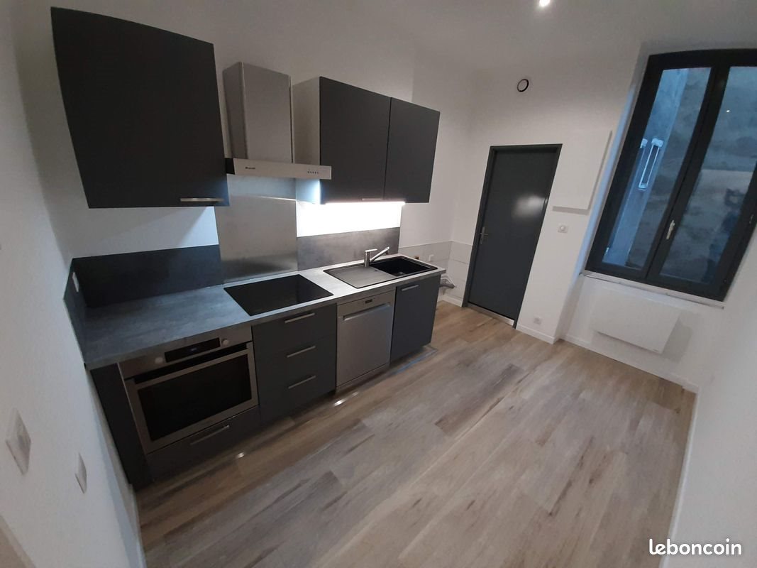 Appartement à louer, 53m², Saint-Étienne