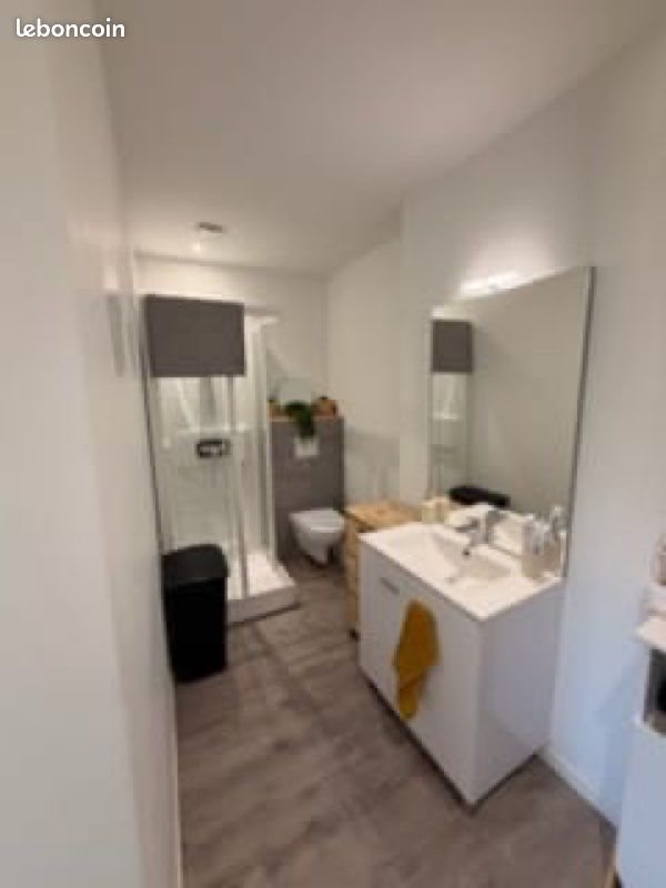 Appartement à louer, 60m², Lussac