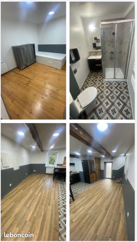 Appartement à louer, 50m², Sourcieux-les-Mines