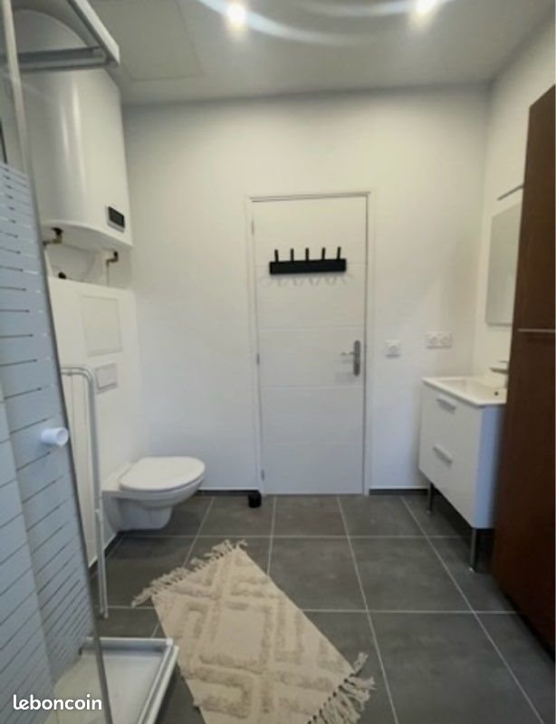 Appartement à louer, 17m², La Mulatière