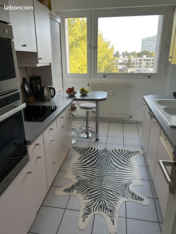Appartement à louer, 101m², Lille