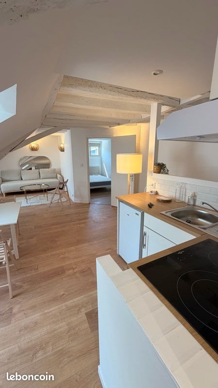 Appartement à louer, 43m², Tours