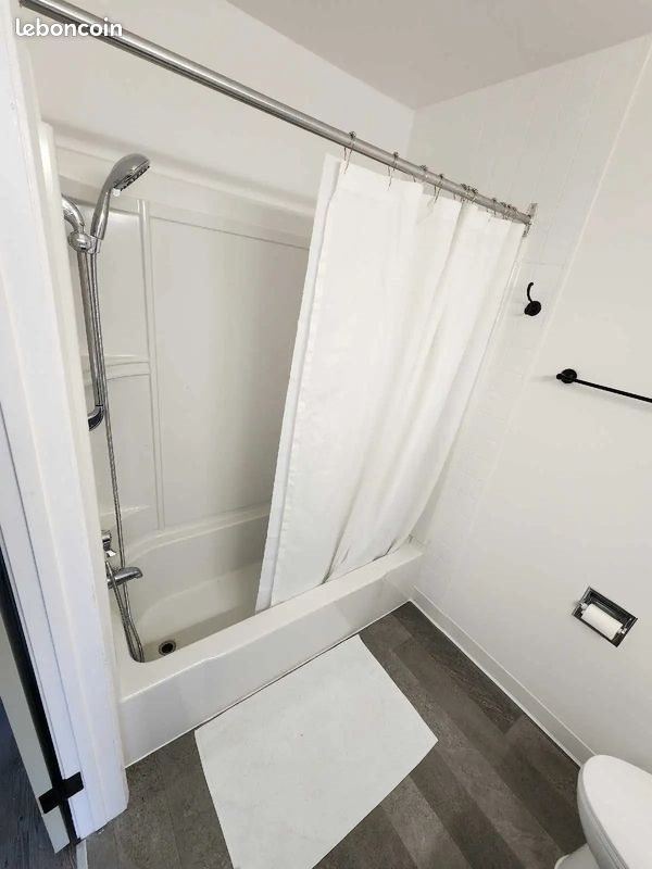 Appartement à louer, 36m², Villeurbanne