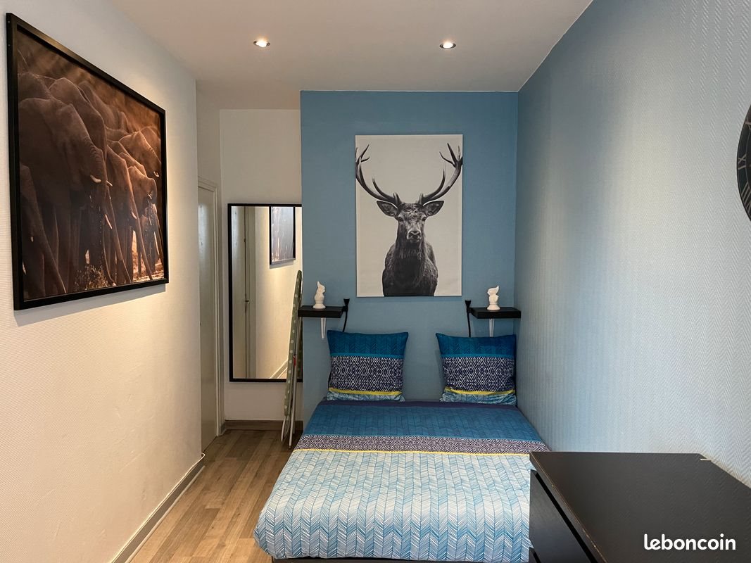 Appartement à louer, 29m², Saint-Etienne