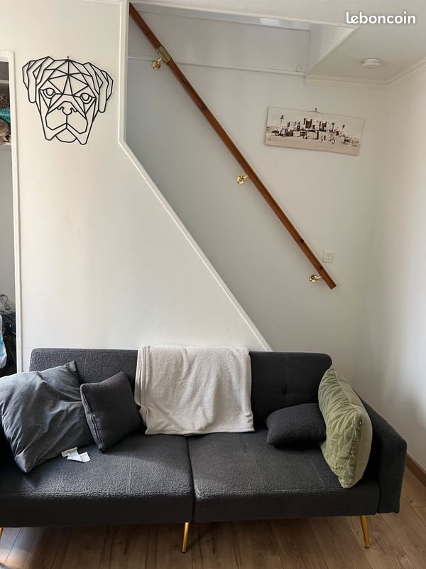 Appartement à louer, 35m², Villeurbanne