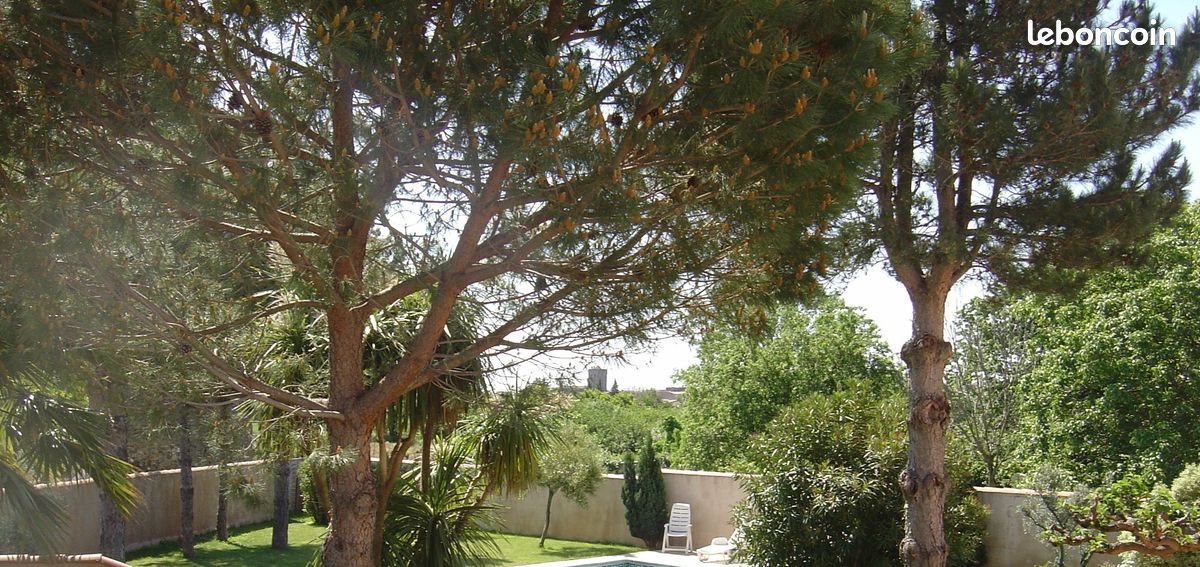 Maison à vendre, 255m², Peyriac-Minervois