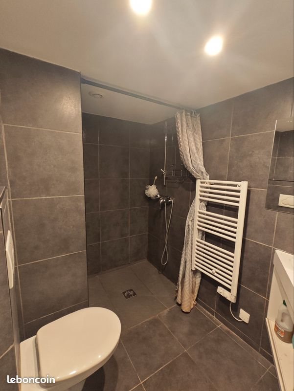 Appartement à louer, 34m², Lyon 7ème
