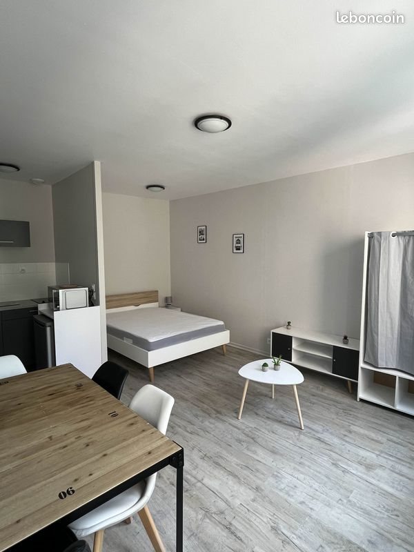 Appartement à louer, 23m², Saint-Etienne