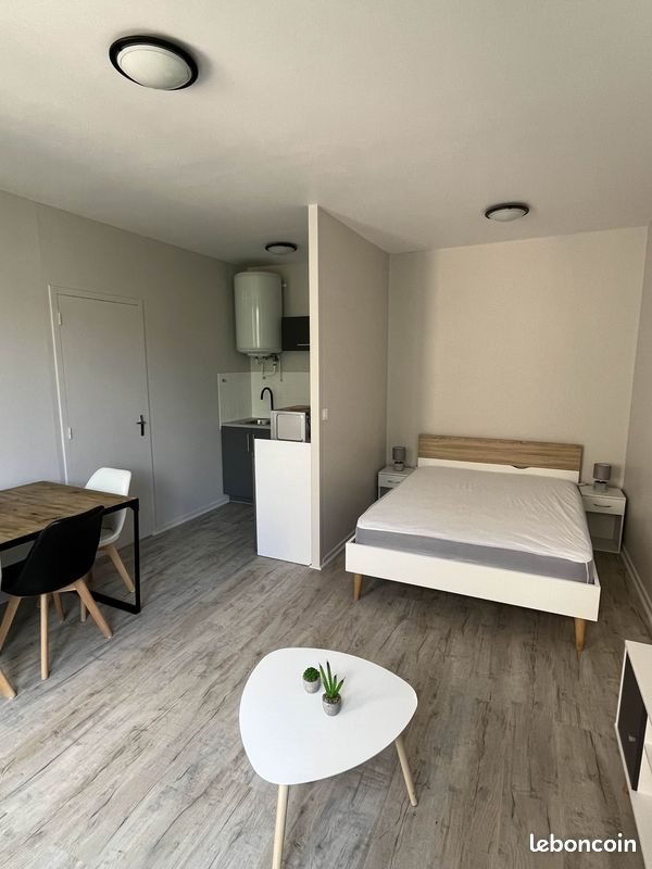Appartement à louer, 23m², Saint-Etienne