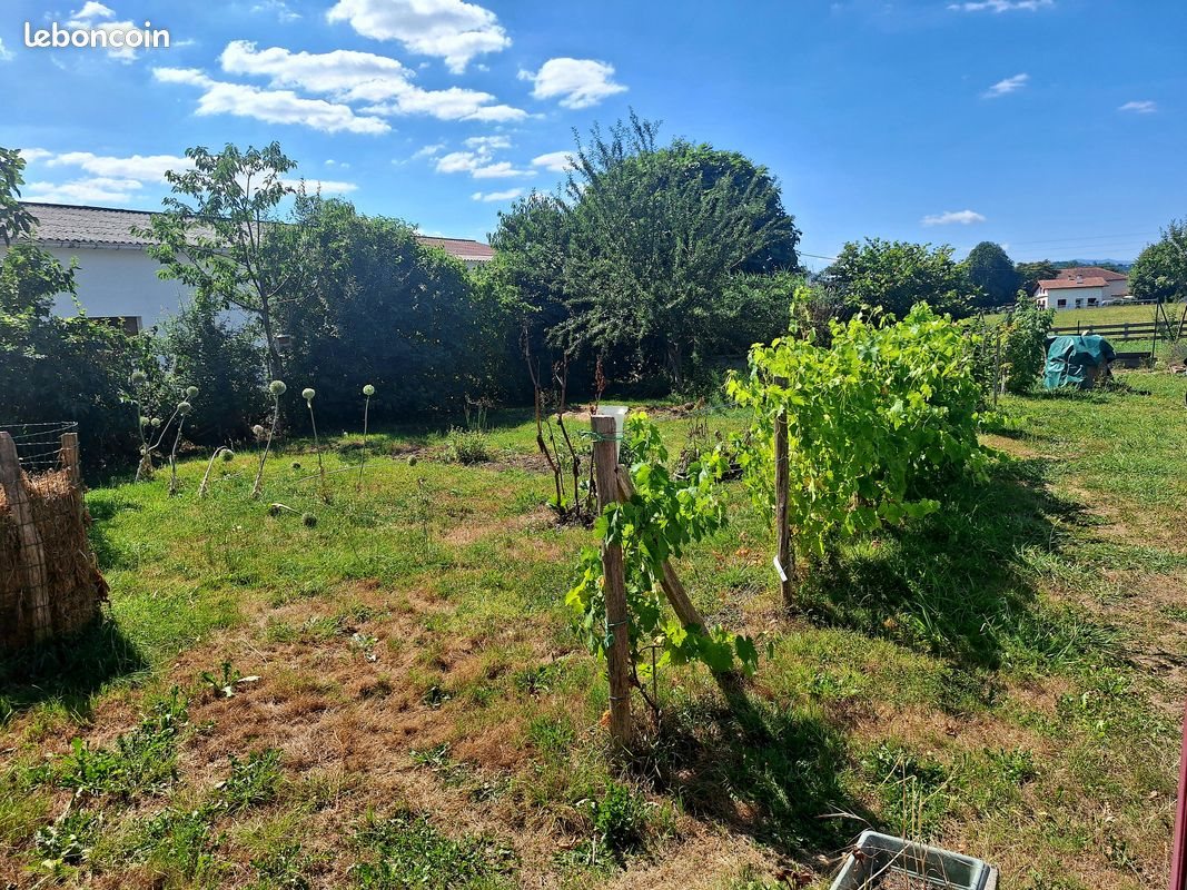 Maison à vendre, 200m², Saint-Jean-Pied-de-Port