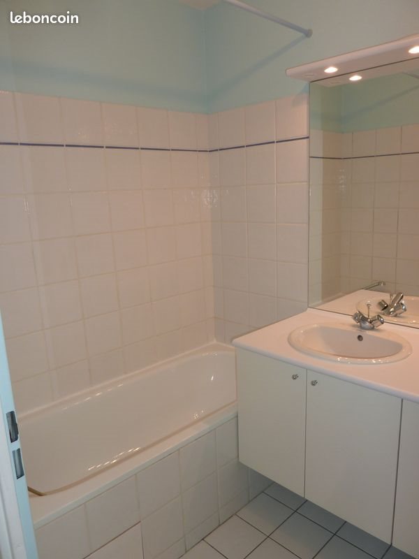 Appartement à louer, 60m², Dijon