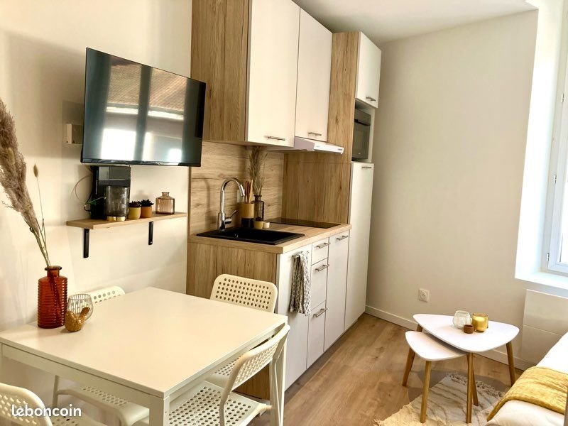 Appartement à louer, 17m², Oullins