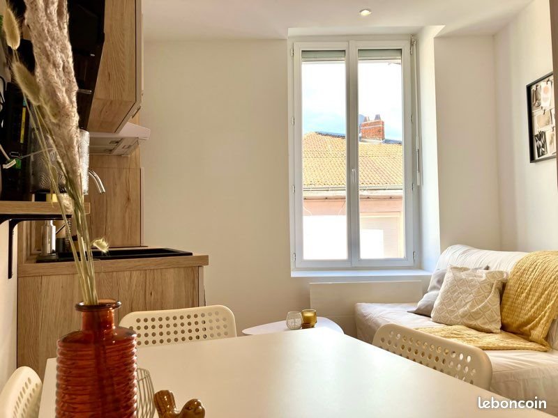 Appartement à louer, 17m², Oullins