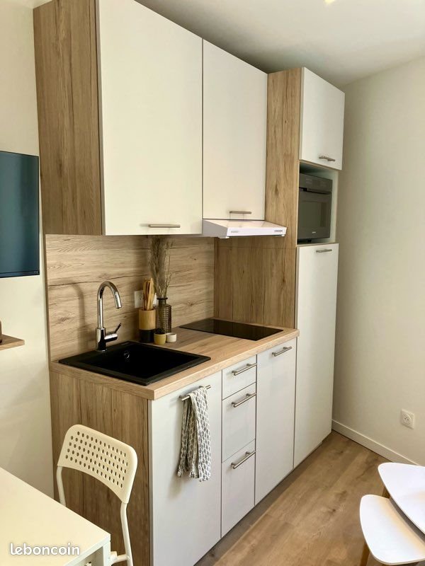 Appartement à louer, 17m², Oullins