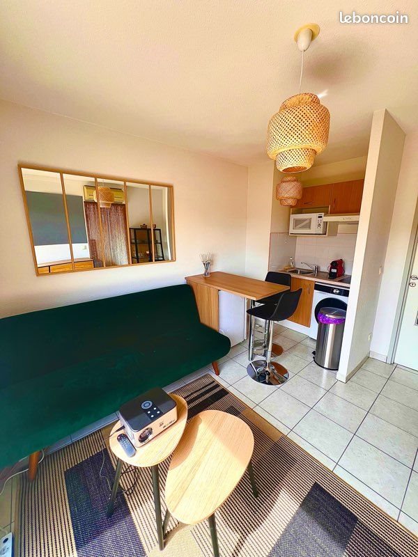 Appartement à louer, 30m², Albi