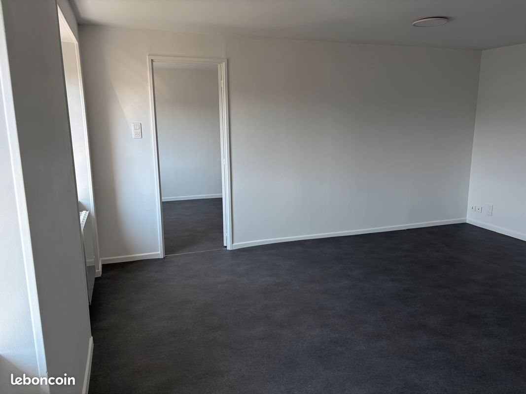 Appartement à louer, 50m², Delle