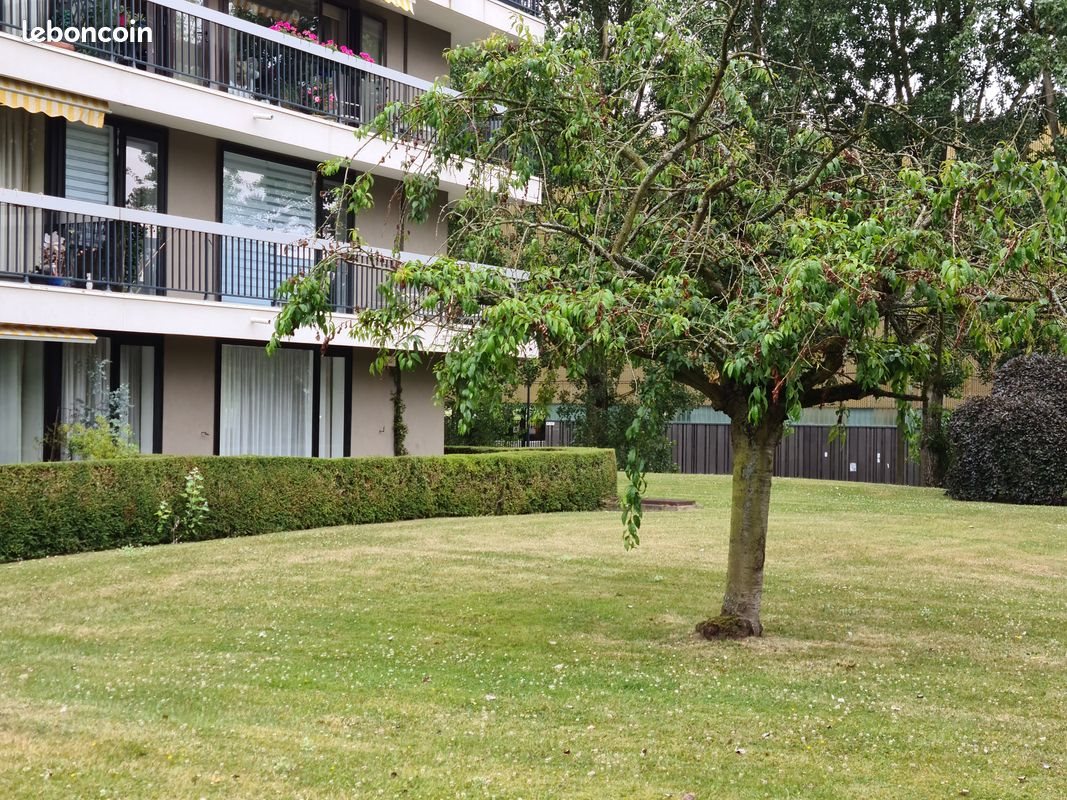 Appartement à louer, 50m², Croix