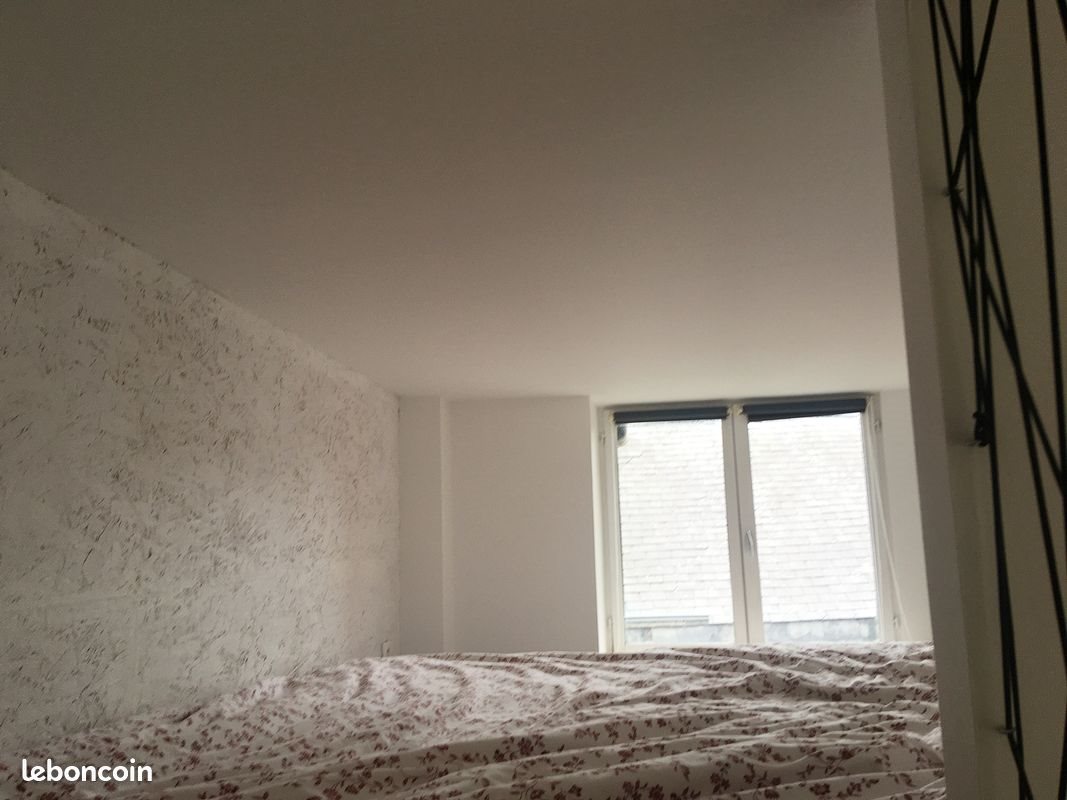 Appartement à louer, 30m², Tours