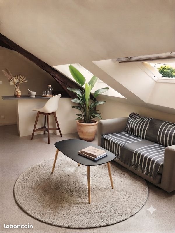 Appartement à louer, 30m², Saint-Jean-le-Blanc