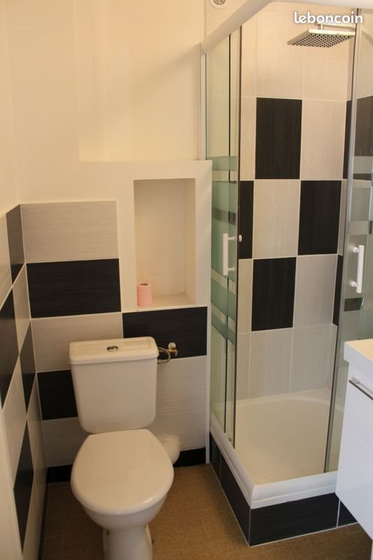 Appartement à louer, 50m², Saint-Etienne