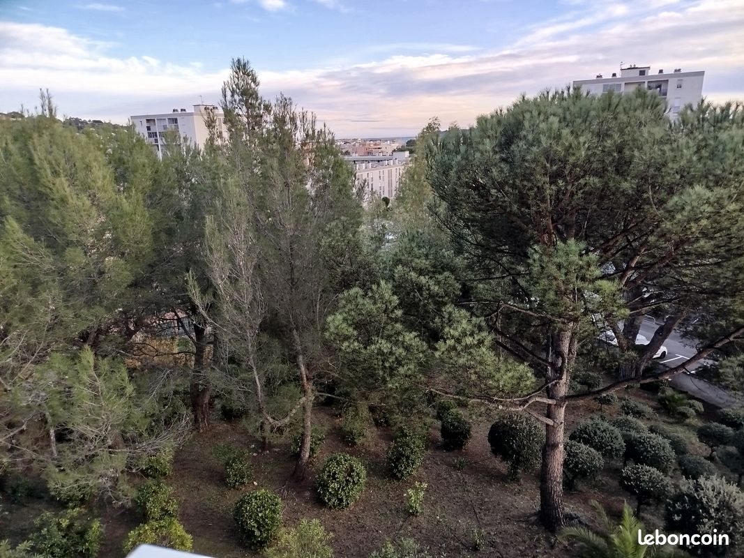 Appartement à louer, 24m², Sainte-Maxime