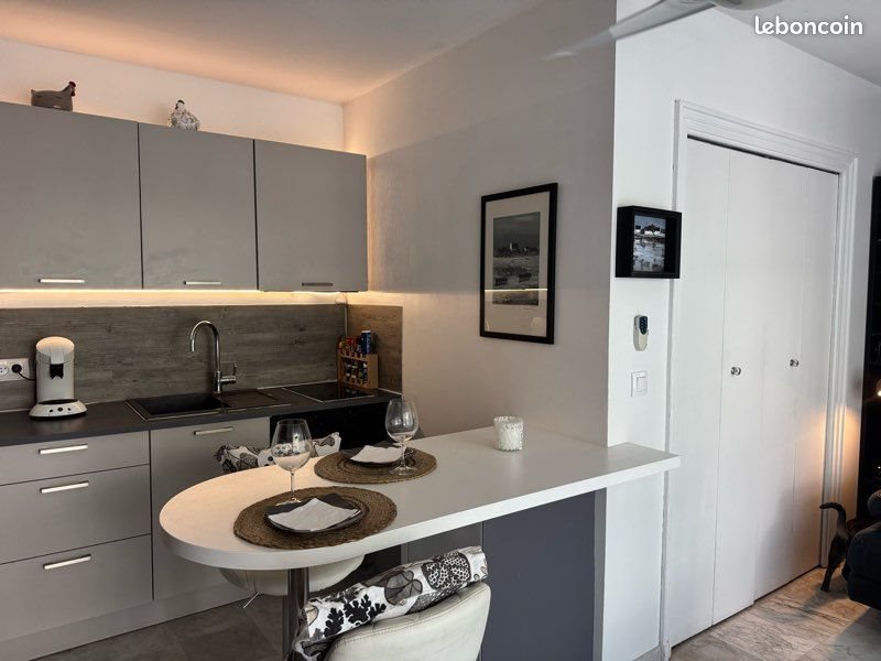 Appartement à louer, 32m², Le Cannet