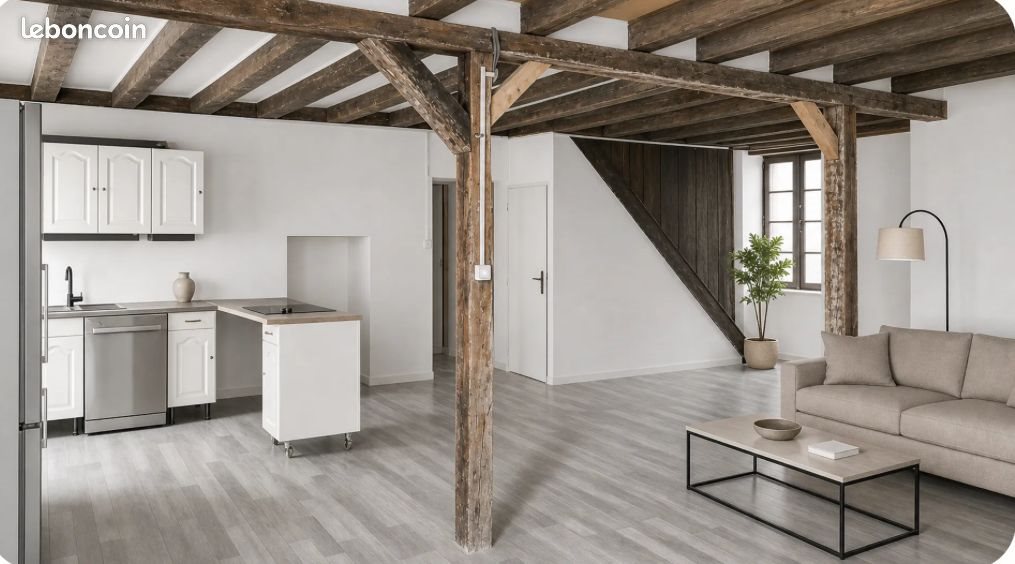 Maison à vendre, 360m², Sancoins