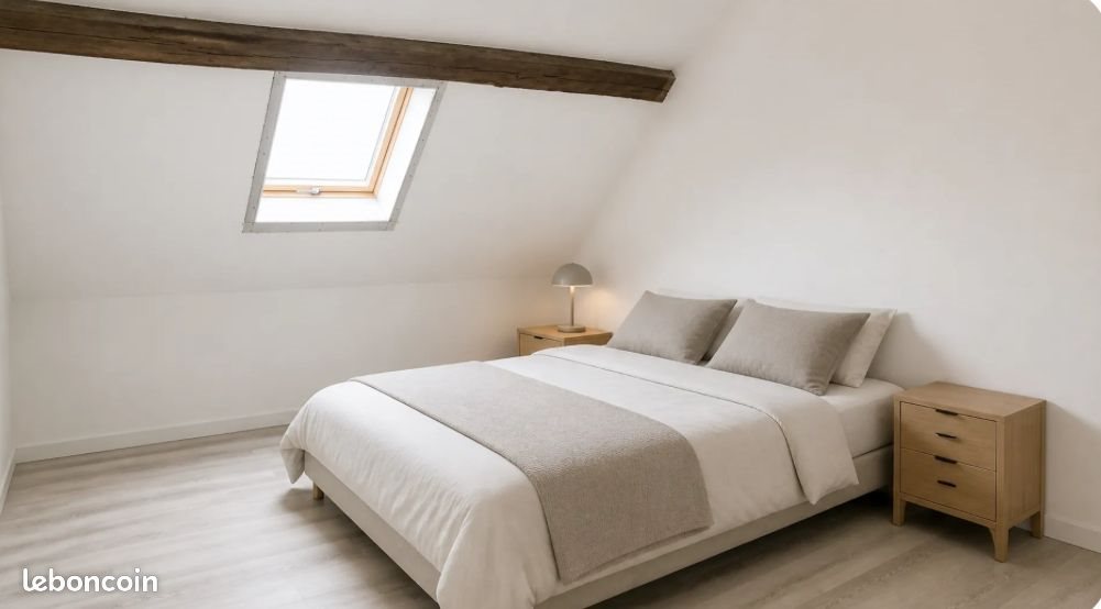 Maison à vendre, 360m², Sancoins