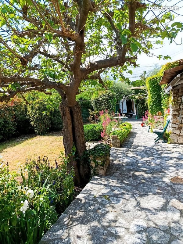 Maison à louer, 150m², Mougins