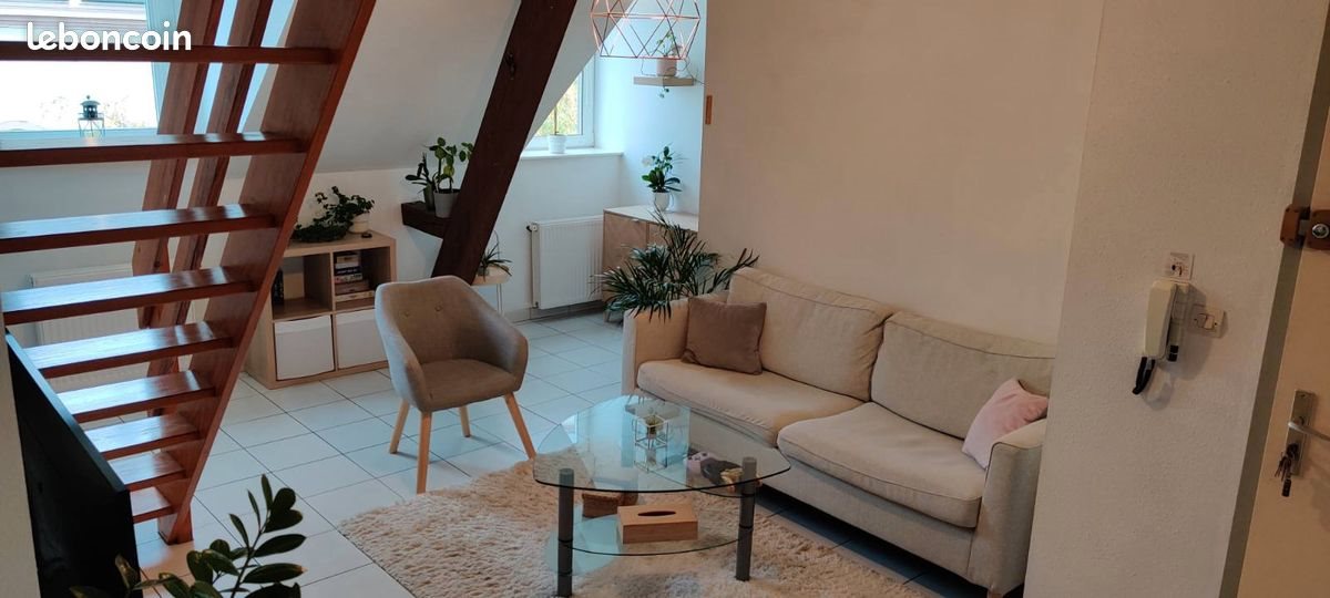 Appartement à louer, 65m², Riedisheim
