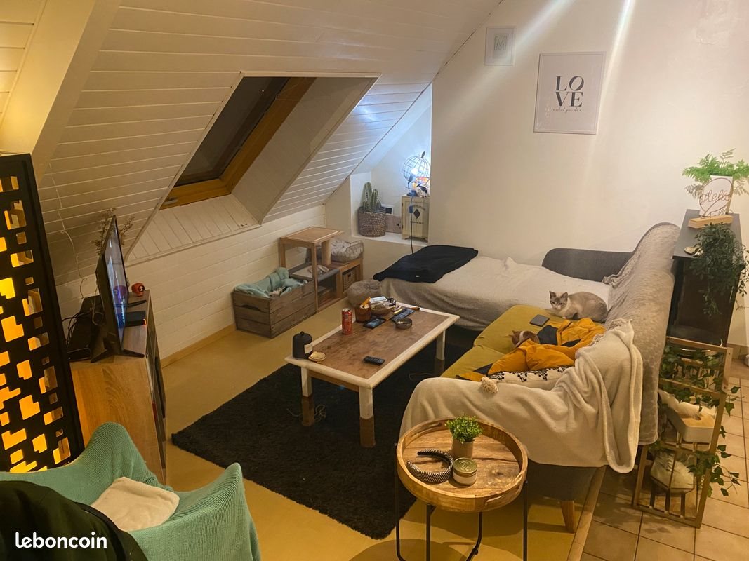 Appartement à louer, 50m², Laval