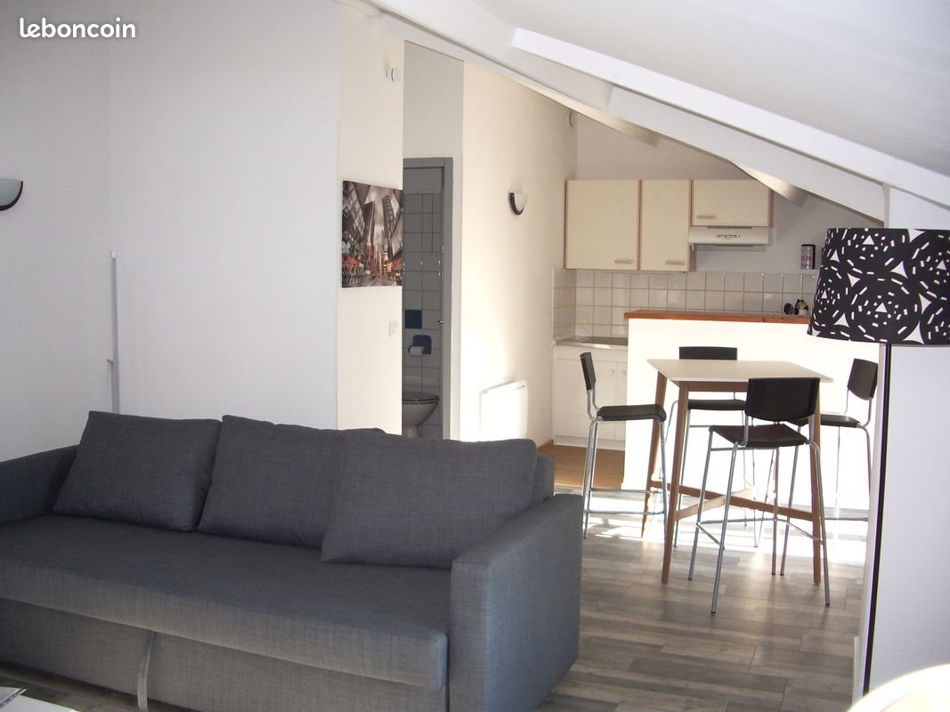 Appartement à louer, 28m², Millau