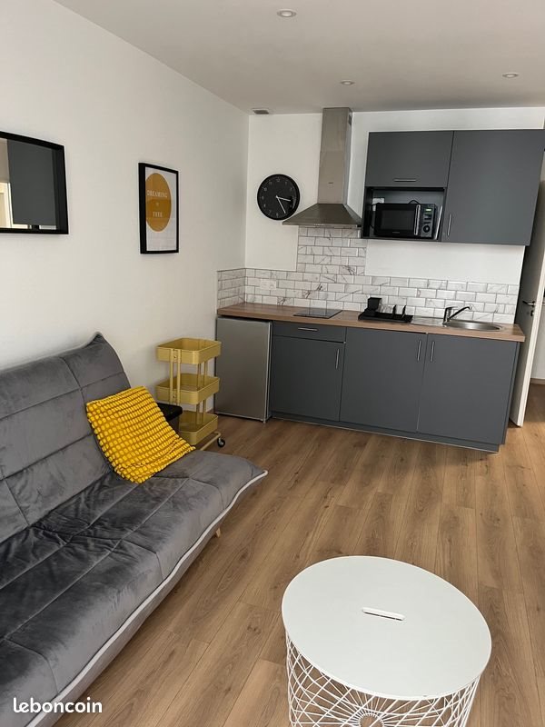 Appartement à louer, 28m², Pau