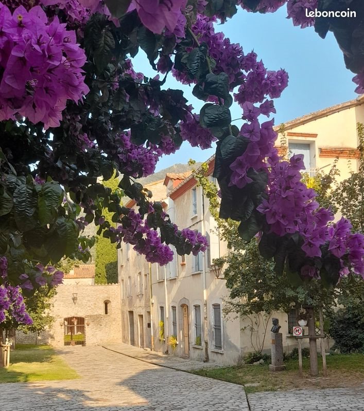 Appartement à vendre, 240m², Arles-sur-Tech