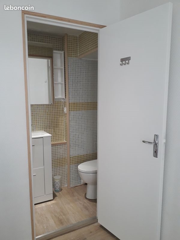 Appartement à louer, 24m², Vichy