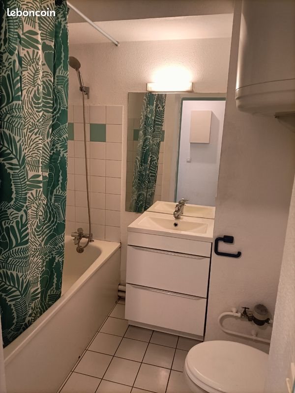 Appartement à louer, 19m², Lyon 8ème