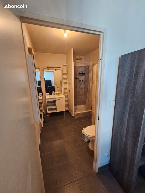 Appartement à louer, 56m², Vaulx-en-Velin