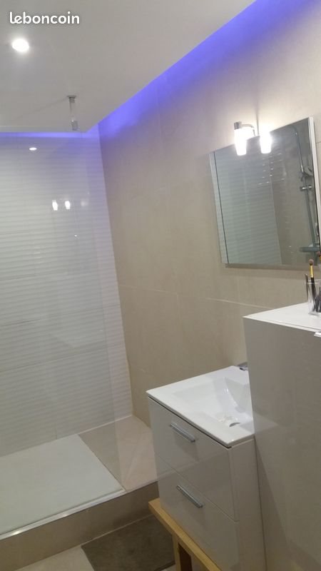 Maison à vendre, 283m², Cornebarrieu