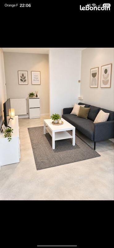Appartement à louer, 45m², Saint-Étienne
